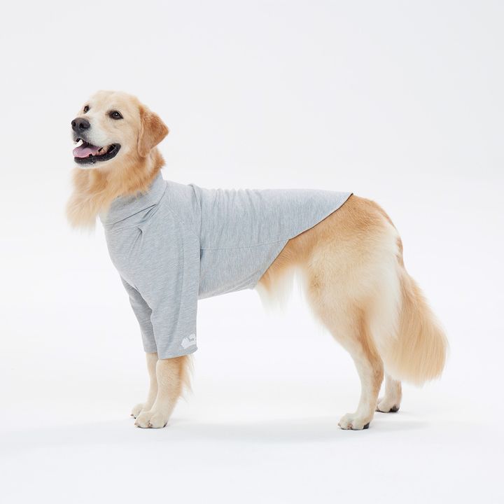 All_day_Rhodes_Sleeve_1
