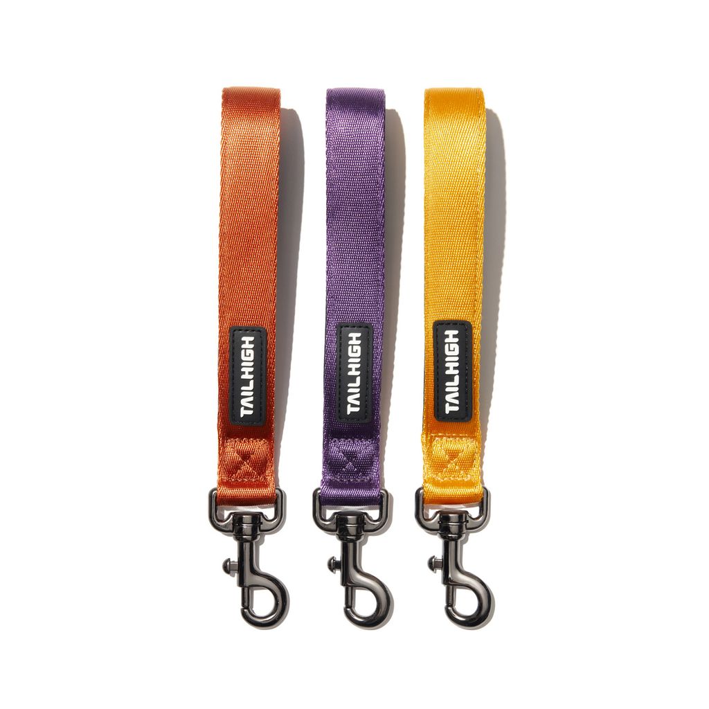 Traﬀic_Leash_color