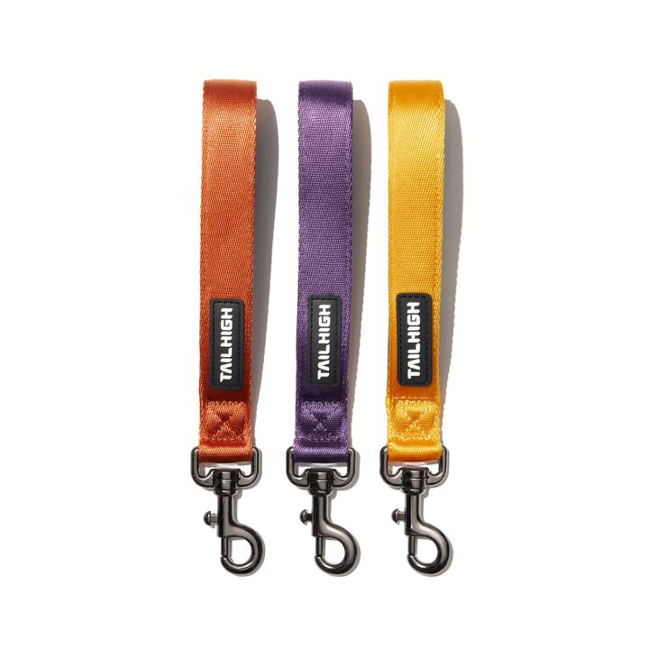 Traﬀic_Leash_color