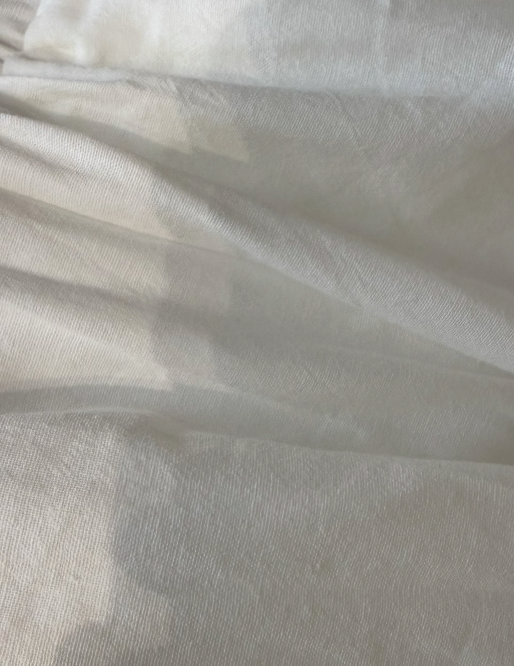 S__7462927_0