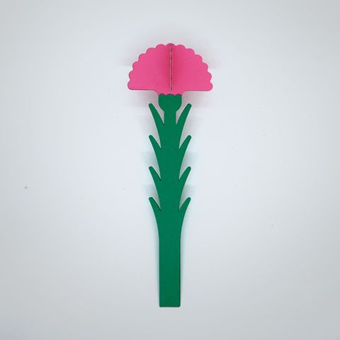 Floral-Carnation-1