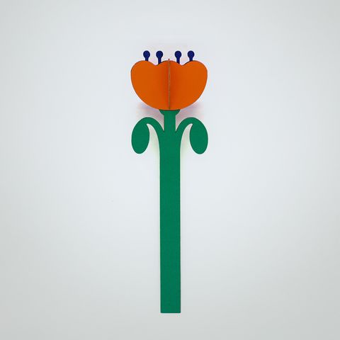 Floral-Poppy-1