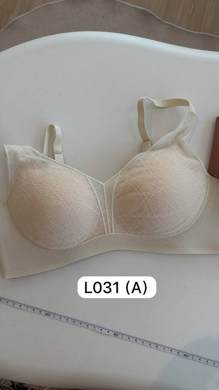 L031A(1)