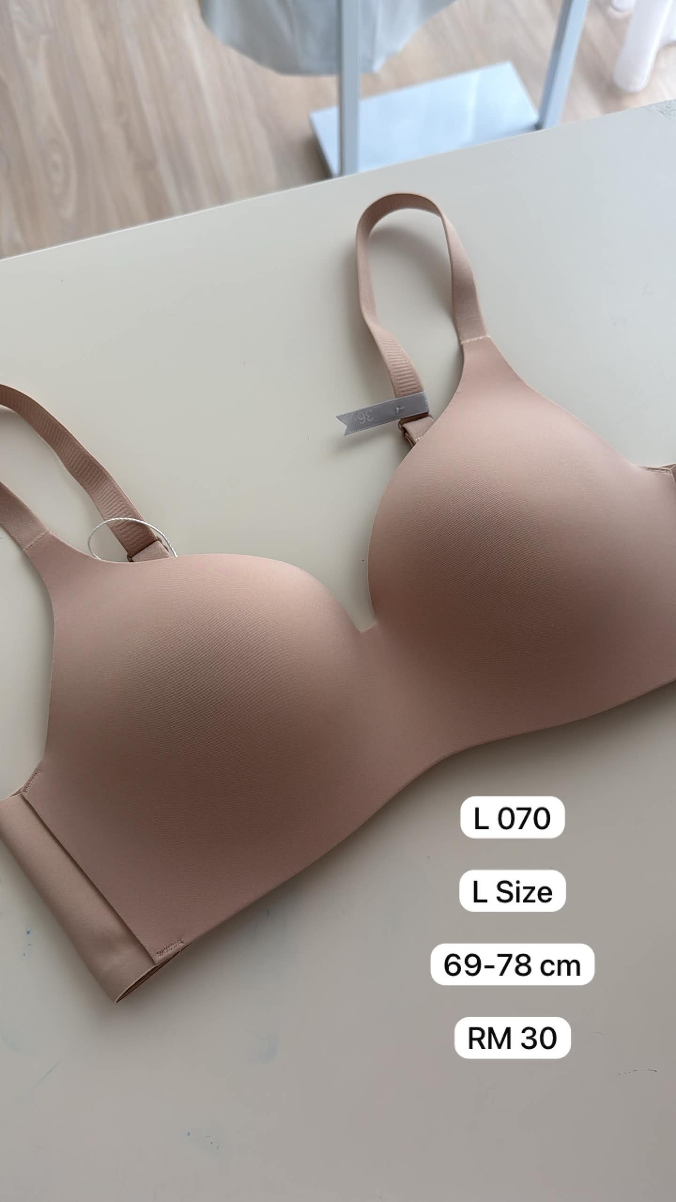 L070(1)
