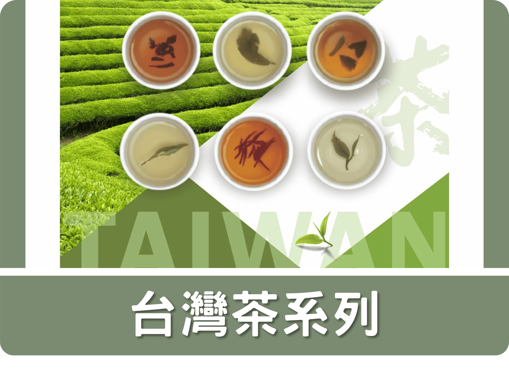 2C台灣茶系列