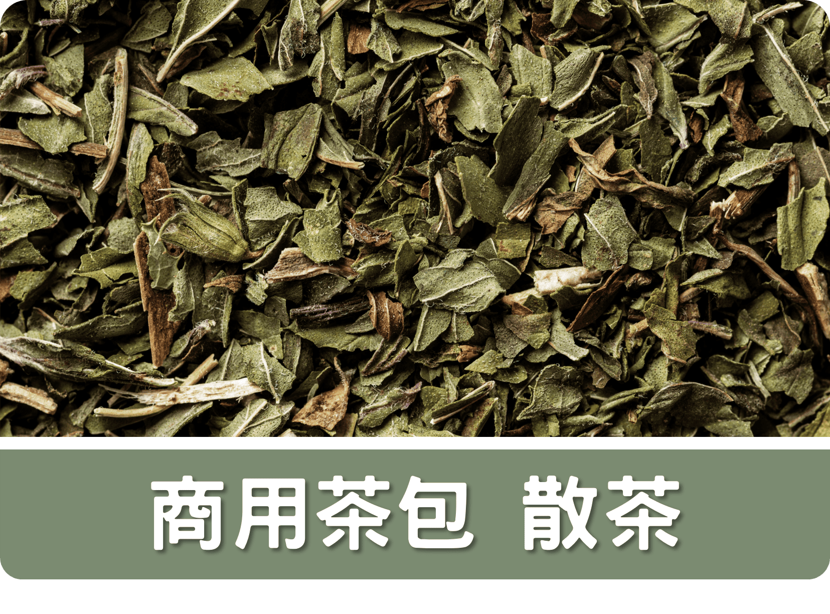 2C商用茶包 散茶