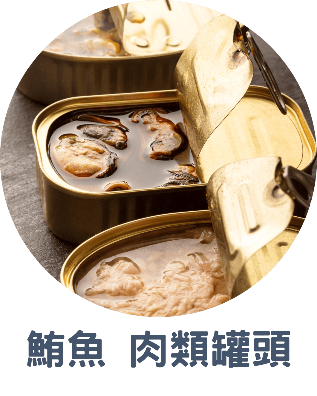 3E鮪魚 肉類罐頭