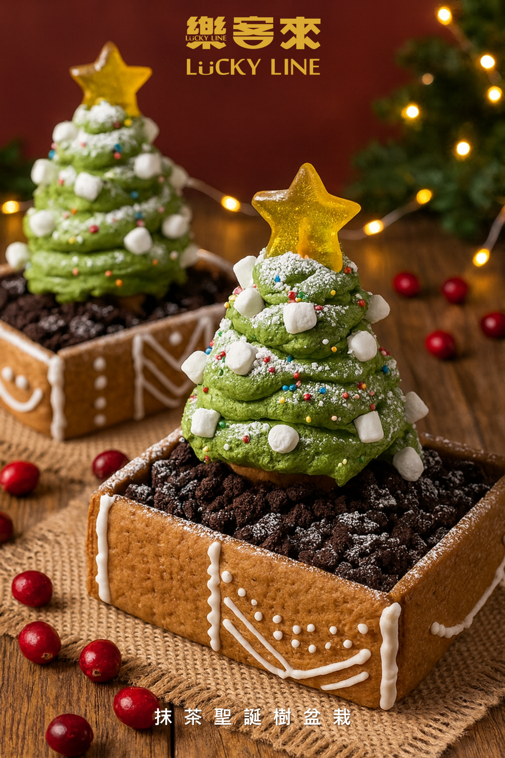 抹茶聖誕樹盆栽 (2)