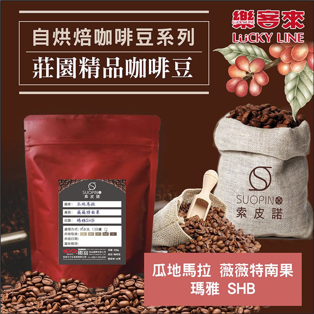 C0529_瓜地馬拉 薇薇特南果 瑪雅 水洗 SHB 中深焙_225g_01