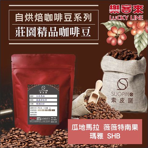 C0529_瓜地馬拉 薇薇特南果 瑪雅 水洗 SHB 中深焙_225g_01