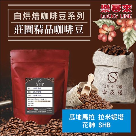 C0533_瓜地馬拉 拉米妮塔 花神 水洗 SHB 淺中焙_225g_01