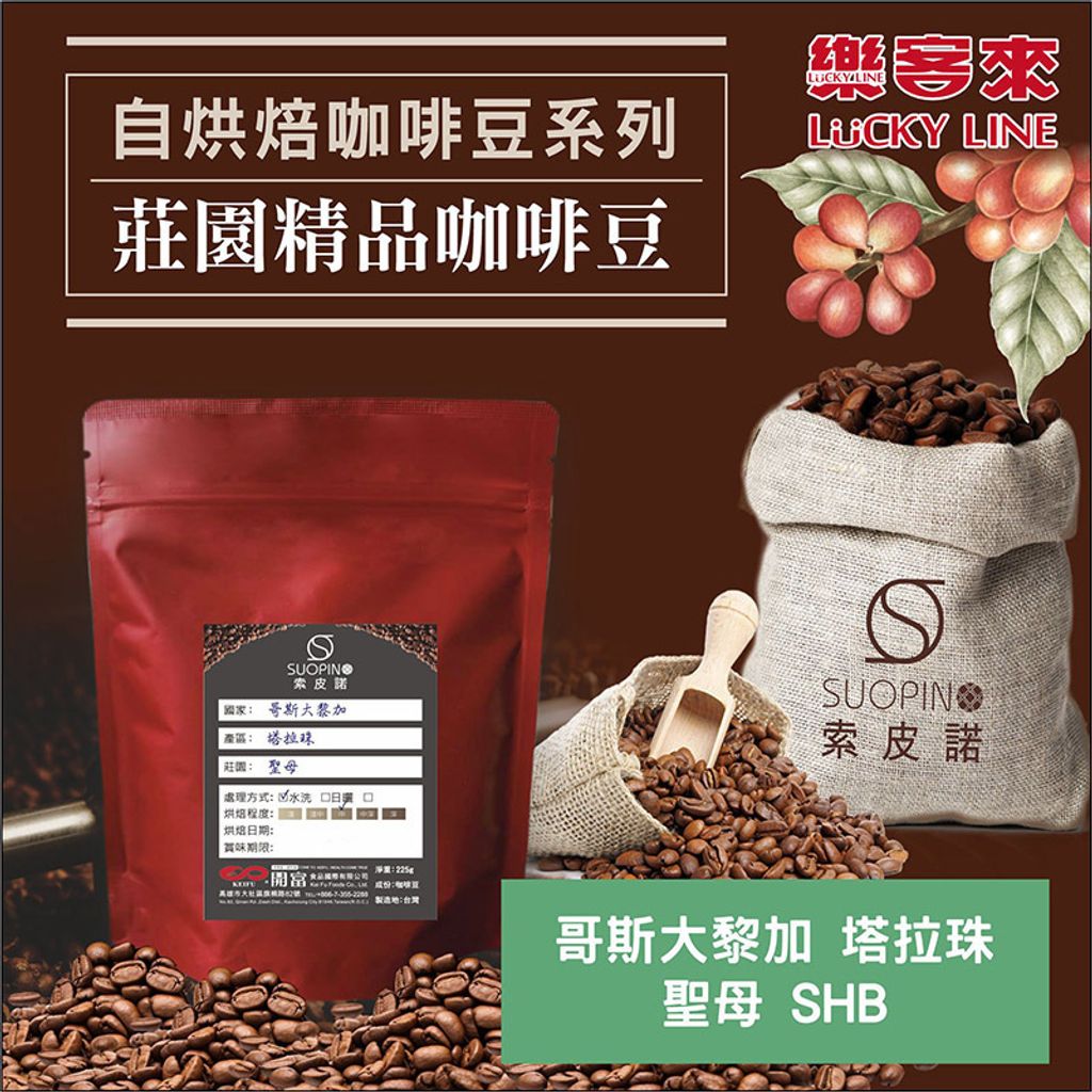 C0534_哥斯大黎加 塔拉珠 聖母 水洗 SHB 中焙_225g_01