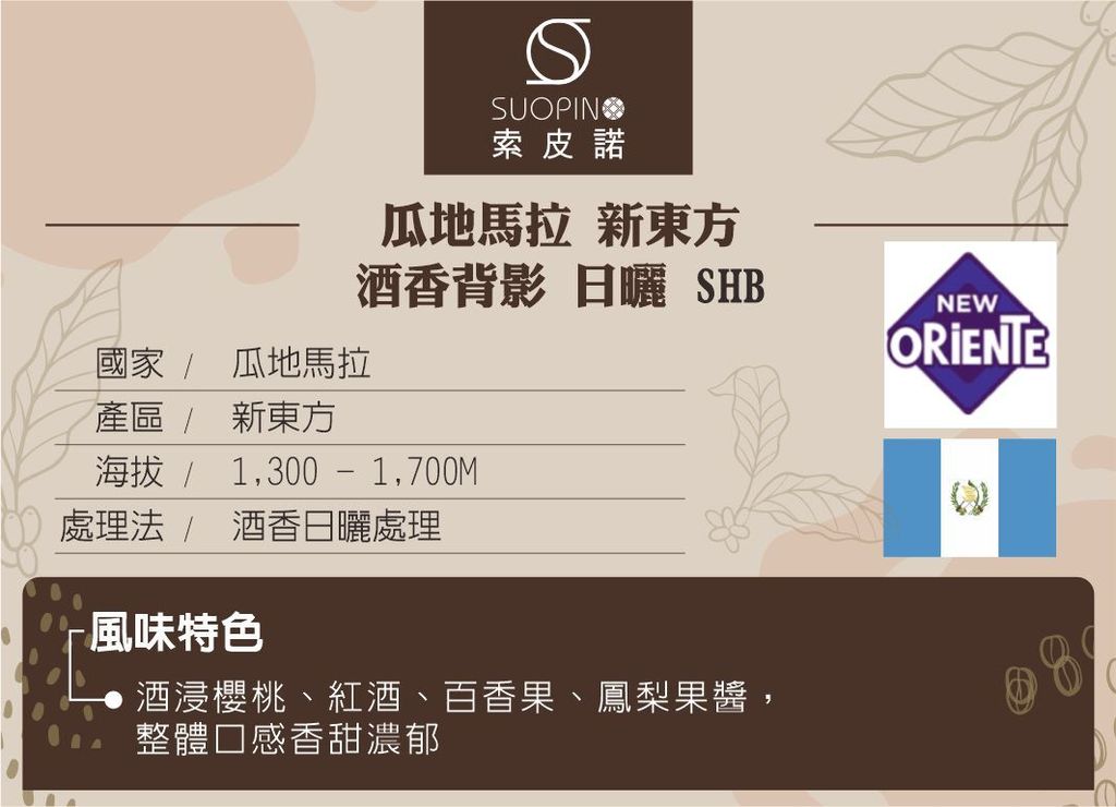 20231226-新增-瓜地馬拉 新東方產區 酒香背影 SHB