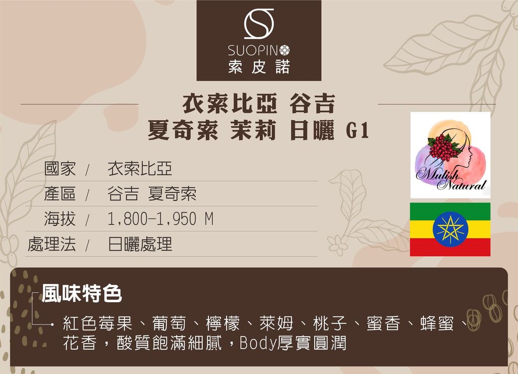 衣索比亞谷吉_03