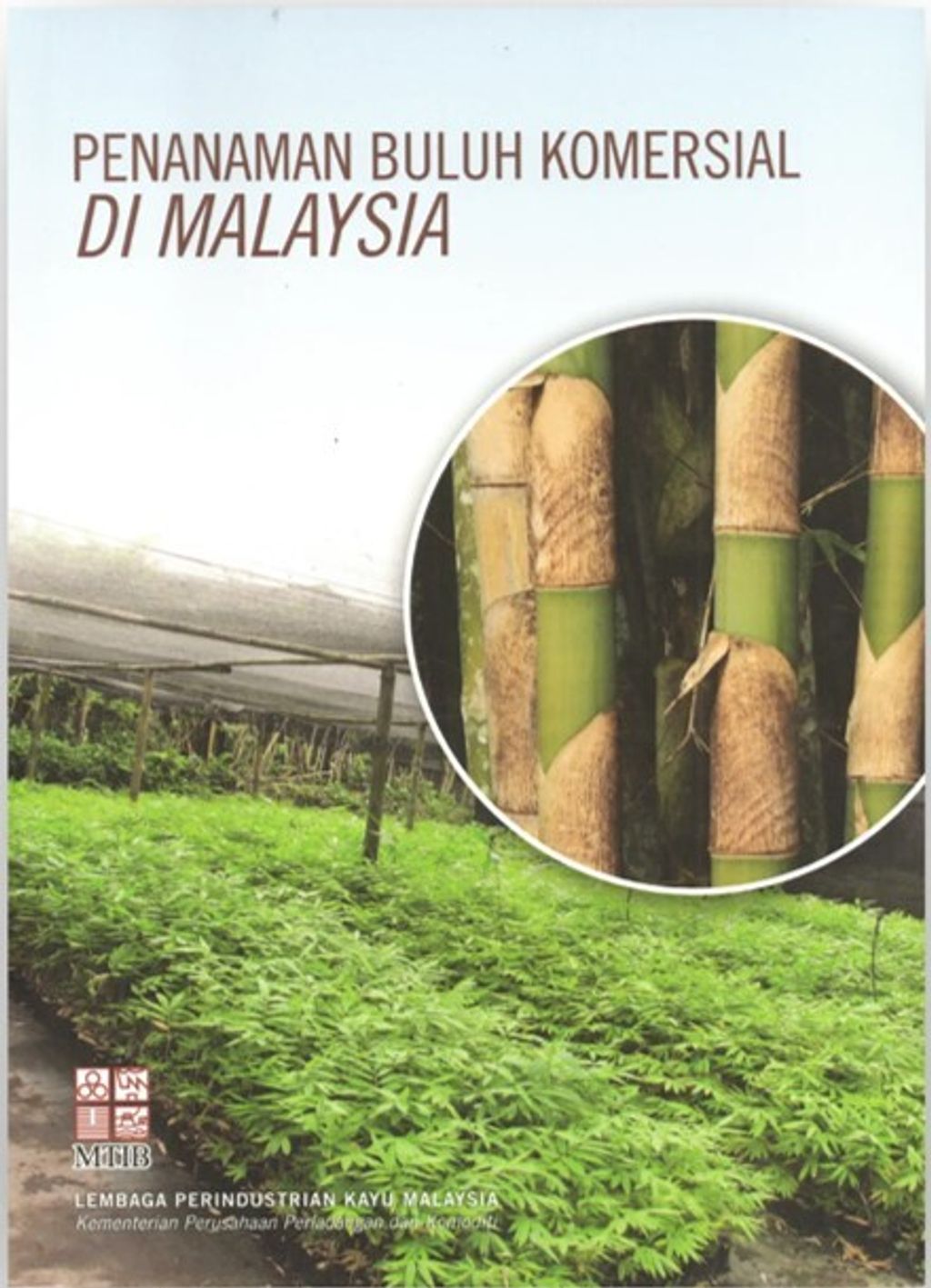 Penanaman Buluh Komersial di Malaysia