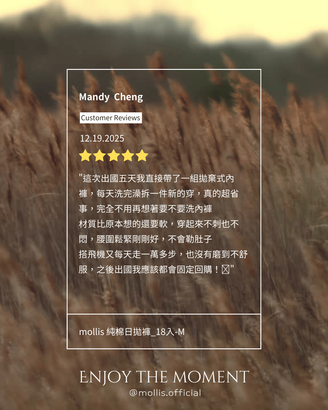 https://cdn.store-assets.com/s/1416098/f/17695279.png