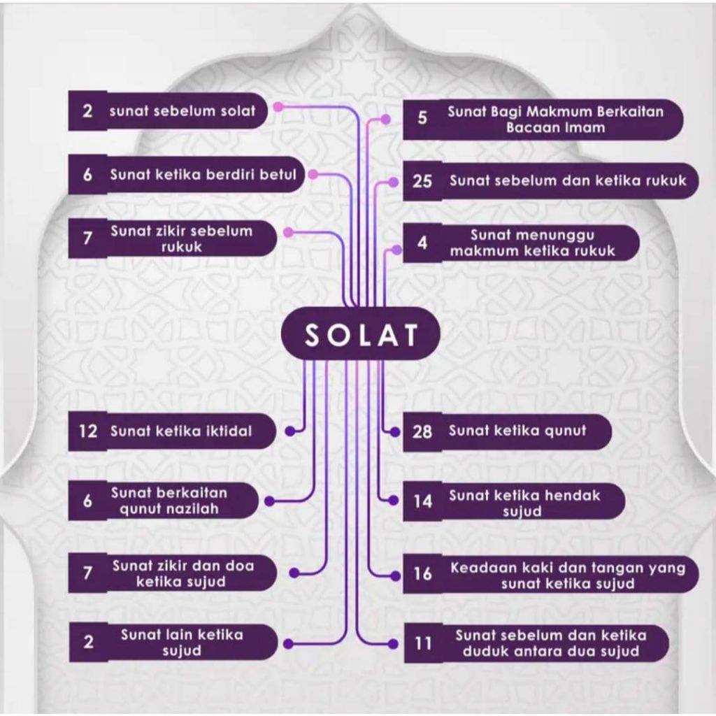 my-11134207-7r98r-lwcc1hx5d7xmb2