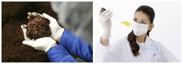 2.檢查