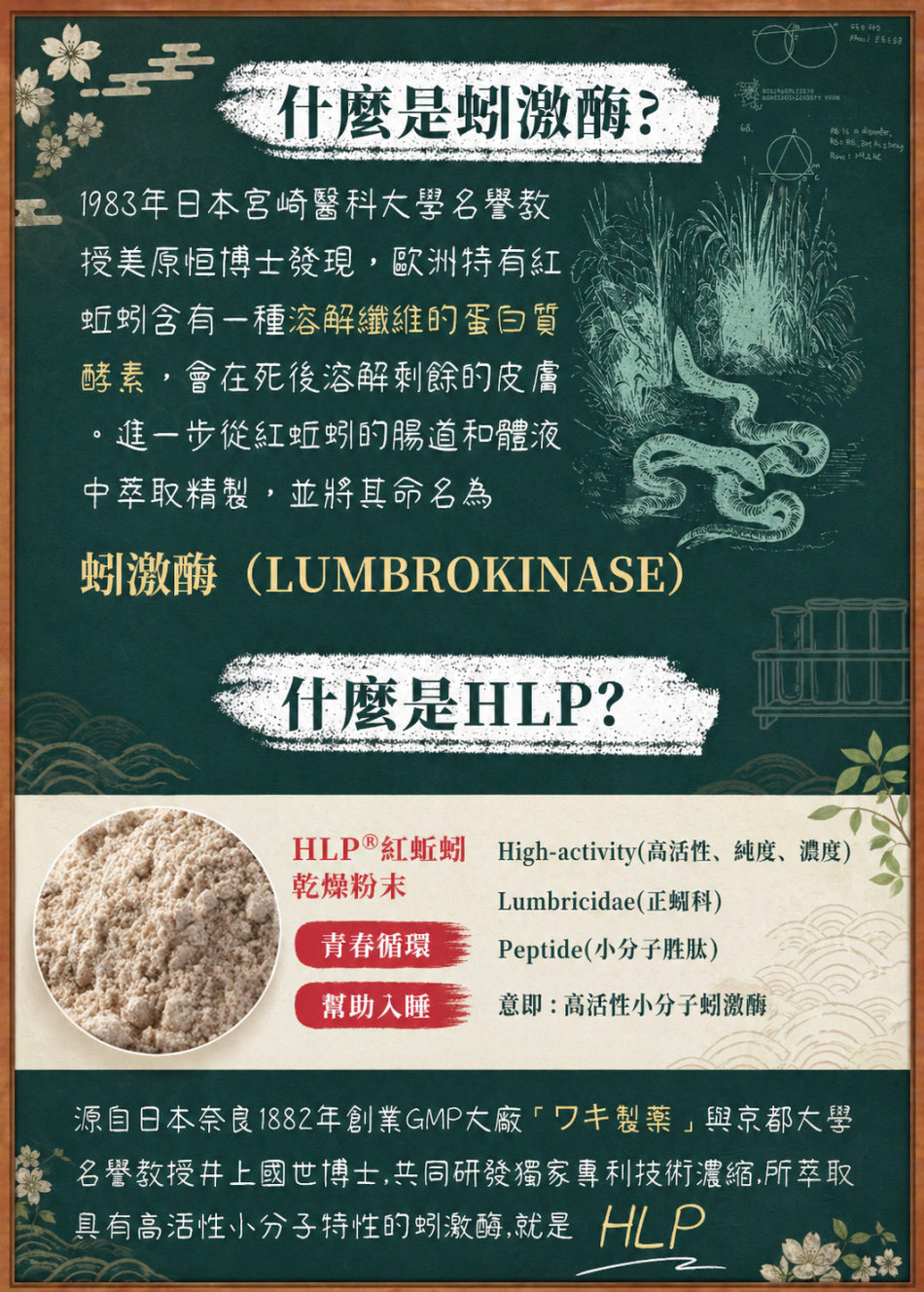 3-HLP？