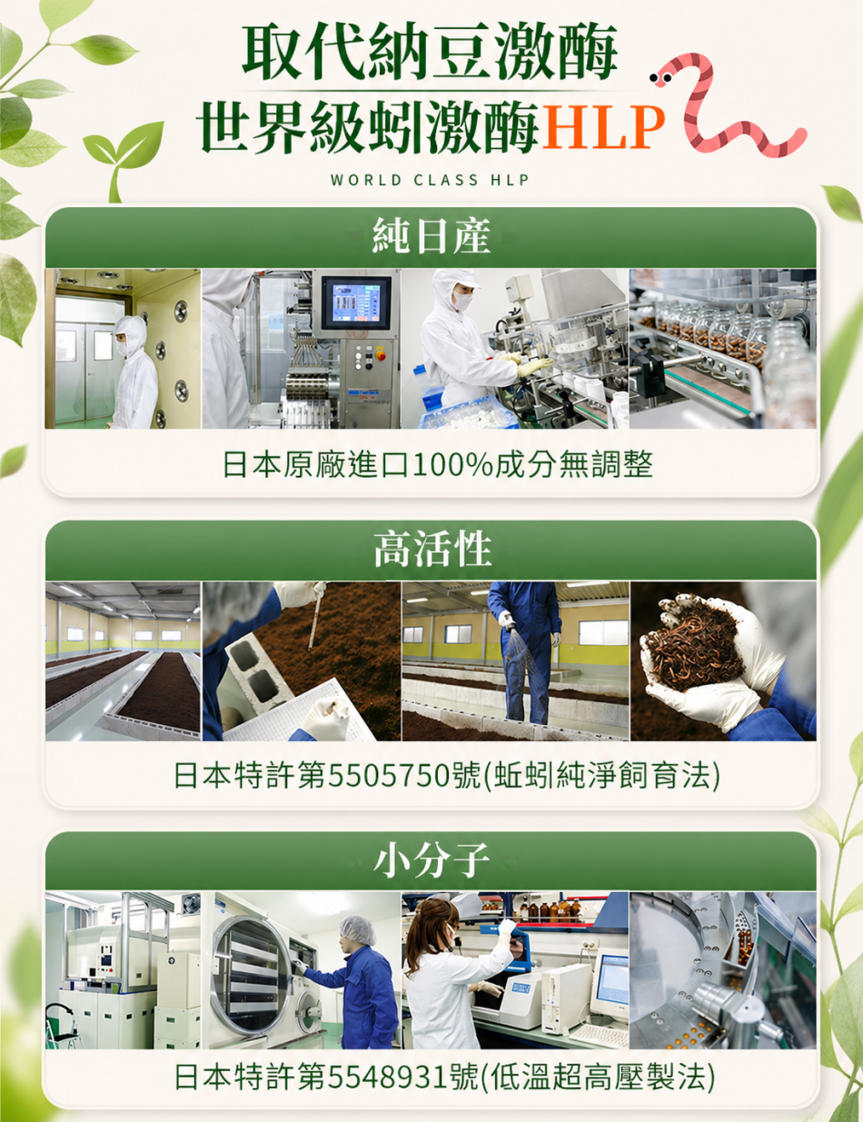6-製程