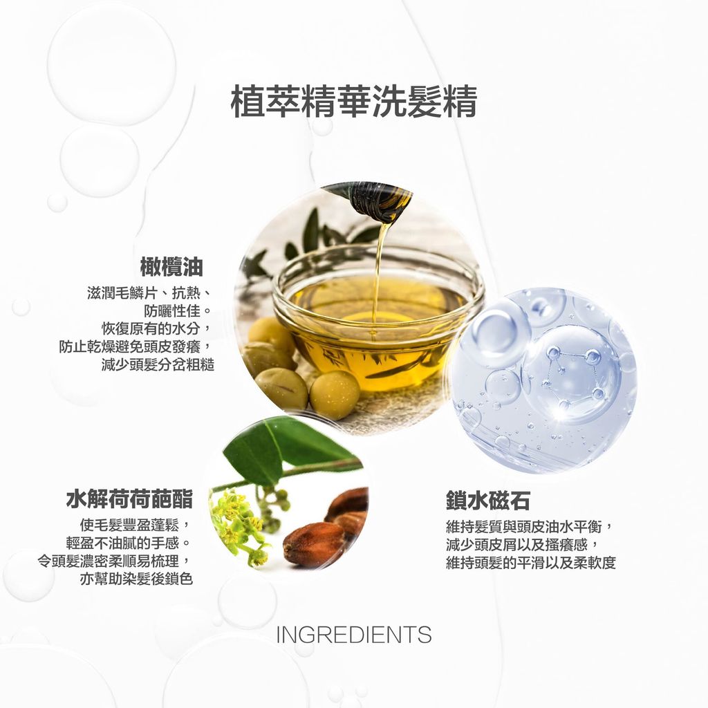 MS 洗髮精蝦皮-03 (5)