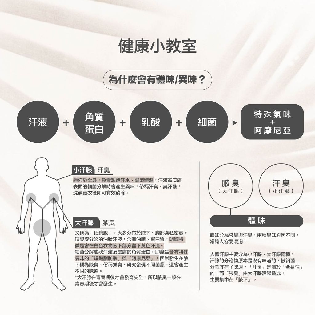 清爽噴霧蝦皮圖_v2-06
