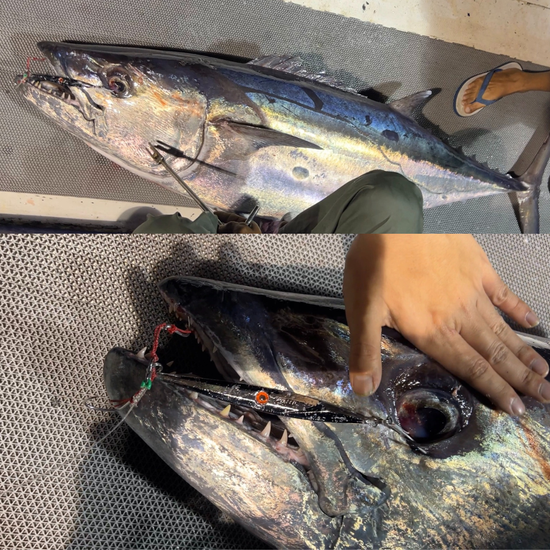 90斤梳齒  | 小毛釣具