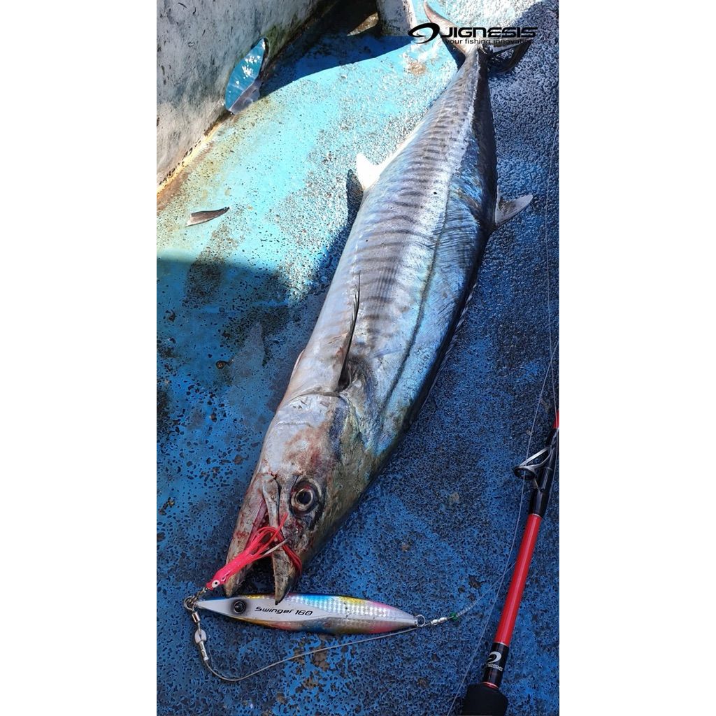 tw-11134207-81zth-mdy81p6y1cld1d