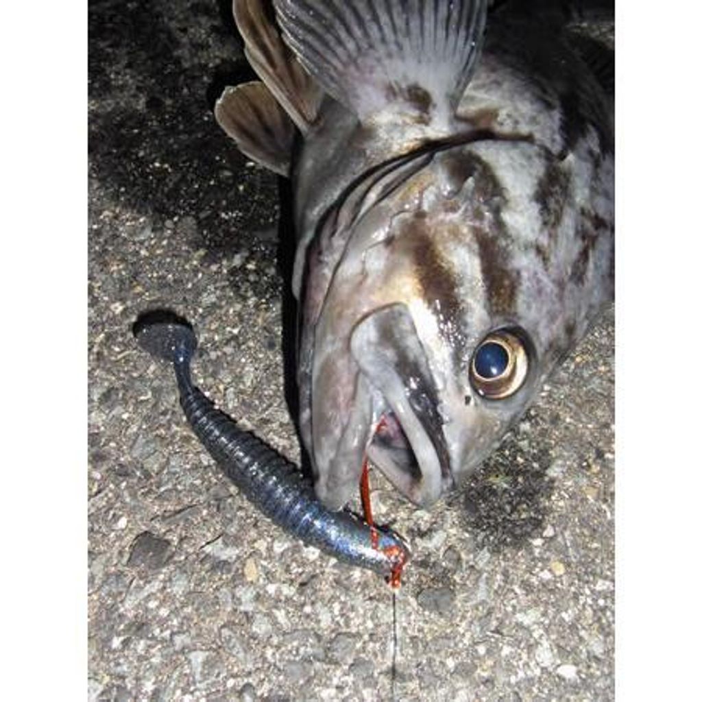 tw-11134207-7ra0q-mcu5tvl2mmgv41