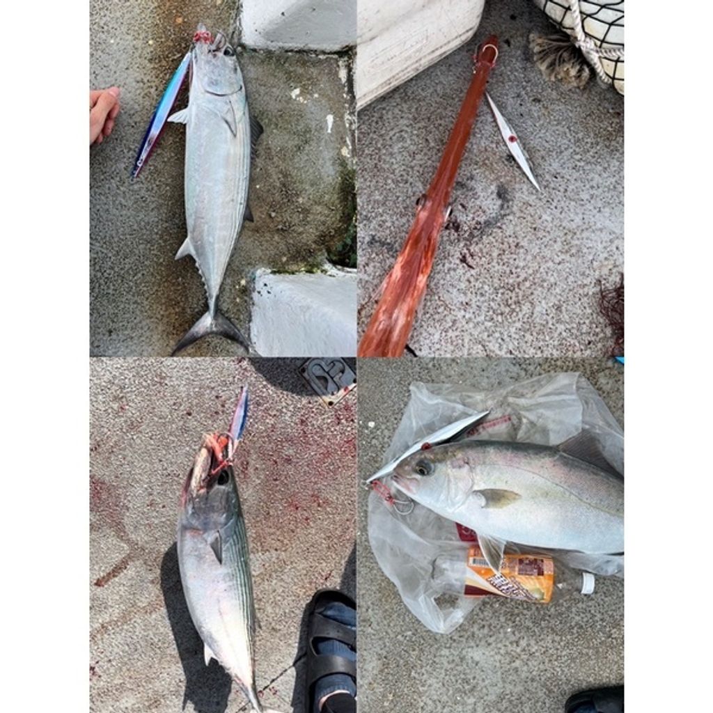 8a058d06b4a259e6e2cc79b81f3f4260