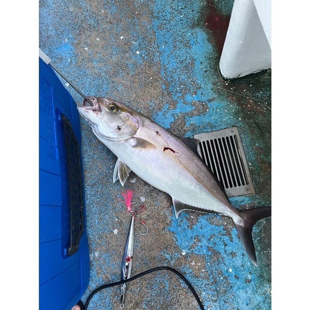 sg-11134201-22120-yq2m7784utkv9a