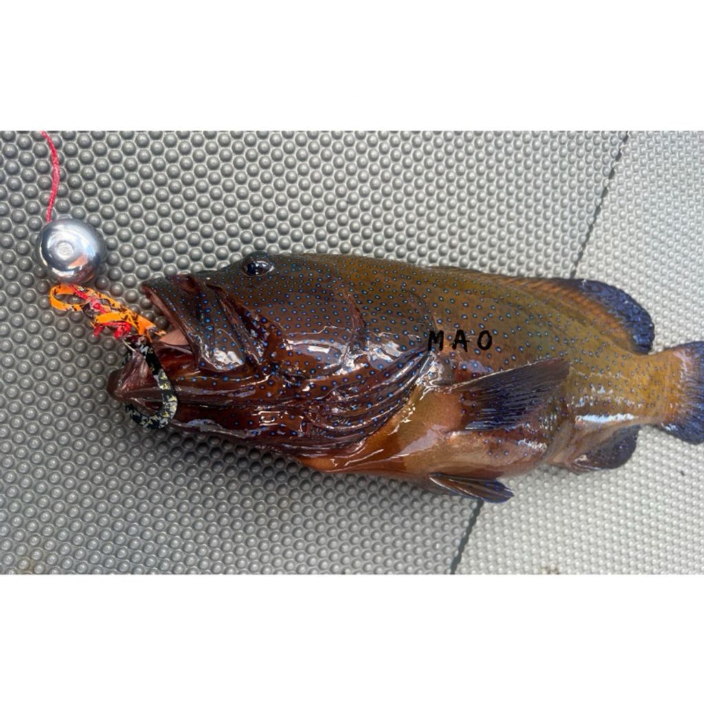 tw-11134207-7r992-lyb0xw23dgqc15