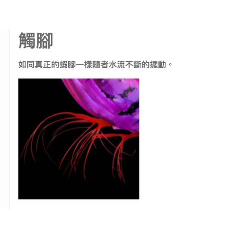 tw-11134207-7r98p-lvdhysac3xkpfa