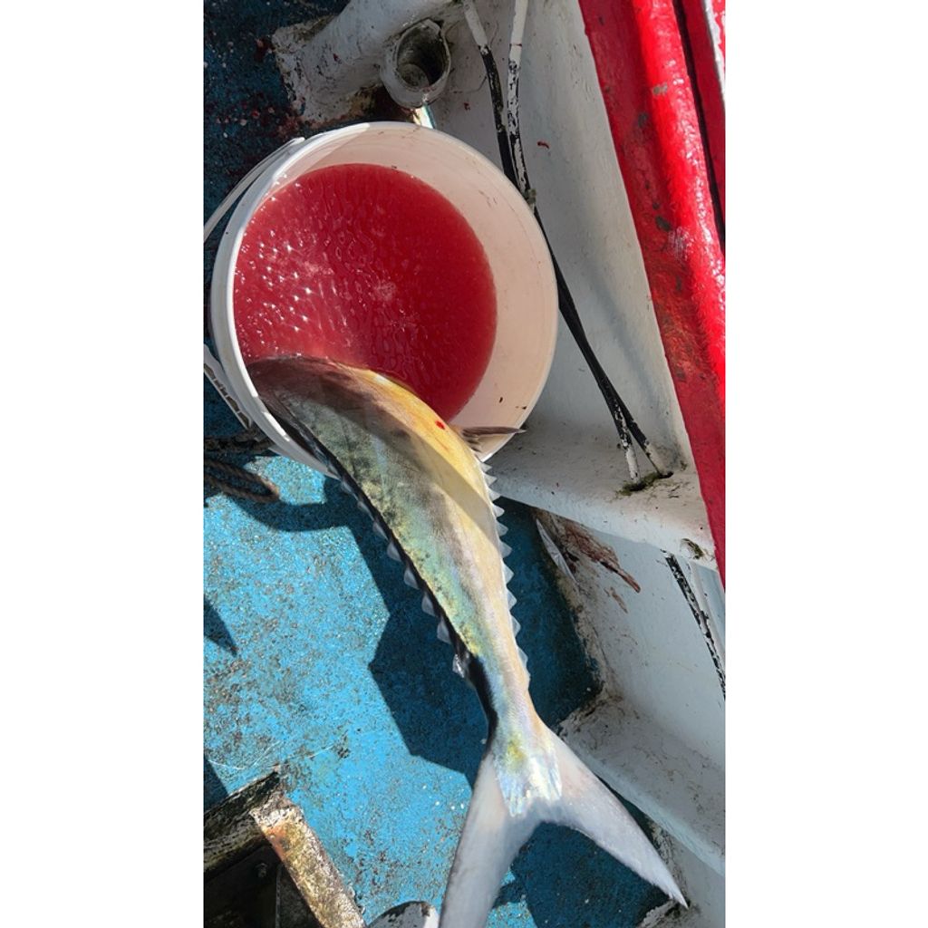 tw-11134207-7rase-m0mqxmiiltqr3d