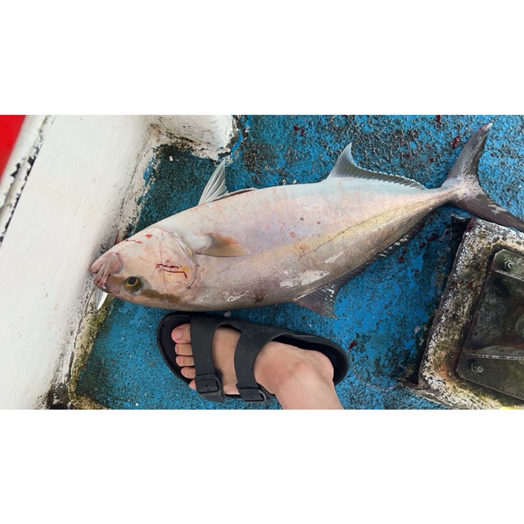 tw-11134207-7rasd-m0mqxmiiltd3ed