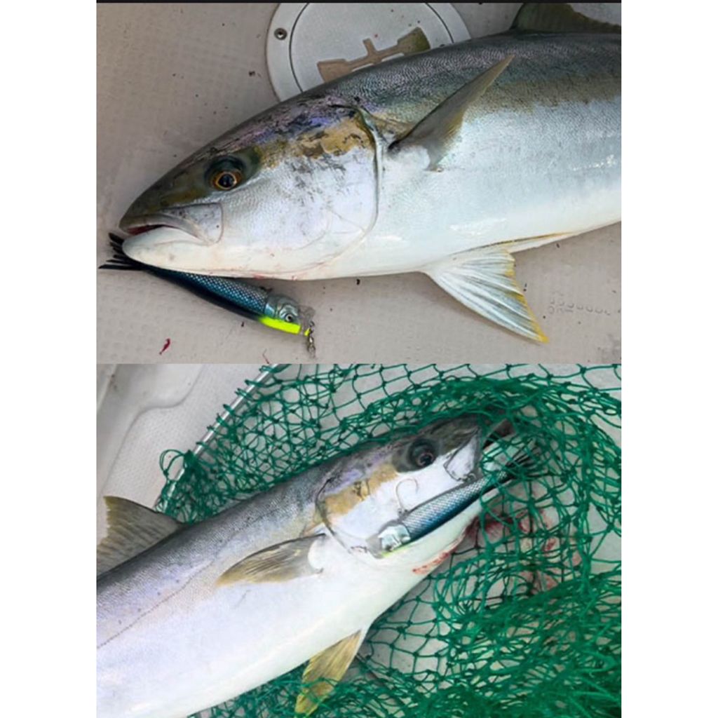 tw-11134207-7rbk0-madm8q2sztco9f