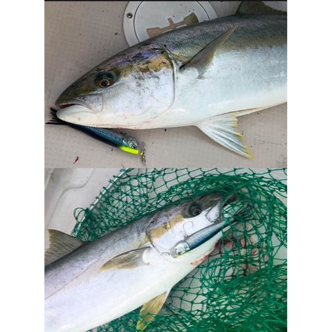 tw-11134207-7rbk0-madm8q2sztco9f