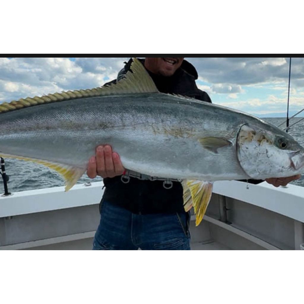 tw-11134207-7rbkb-madm8q2t17ti28