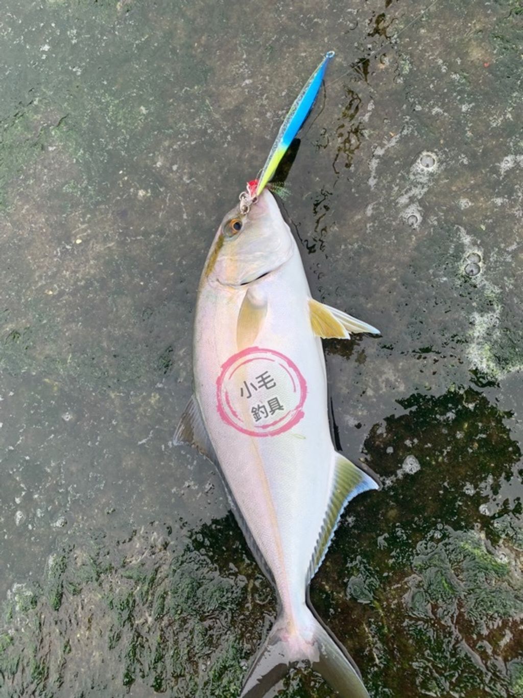 bae556e8baac1985832012cdefc893d8