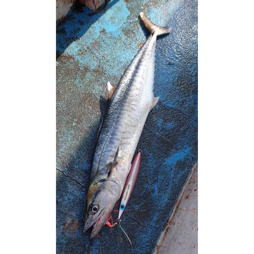 tw-11134207-7r98y-lqbwxbpyx98i33