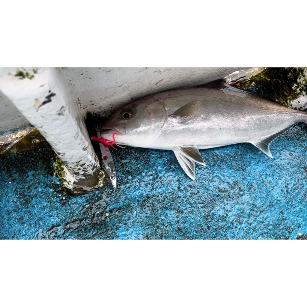 tw-11134207-7r98z-lwdtip1go84ma9