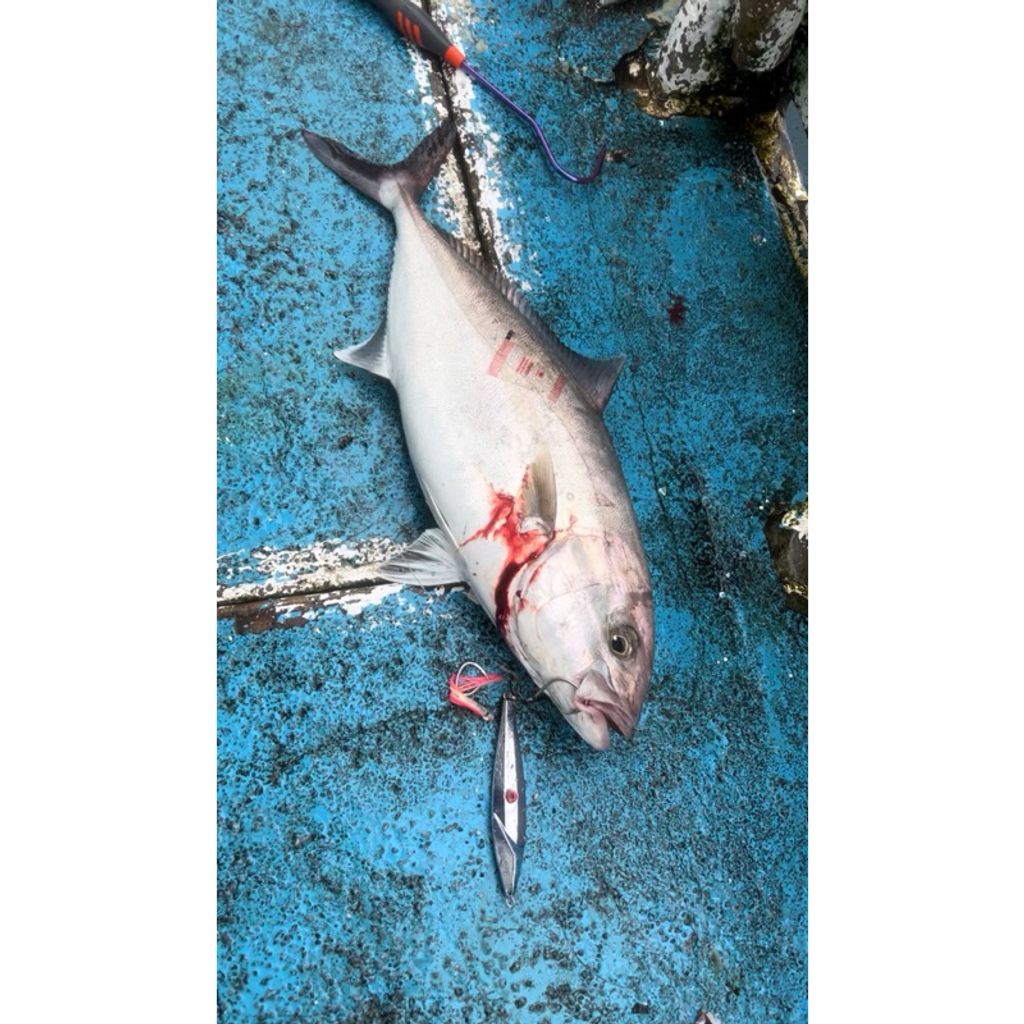 tw-11134207-7r98q-lwdtip20nepcc0