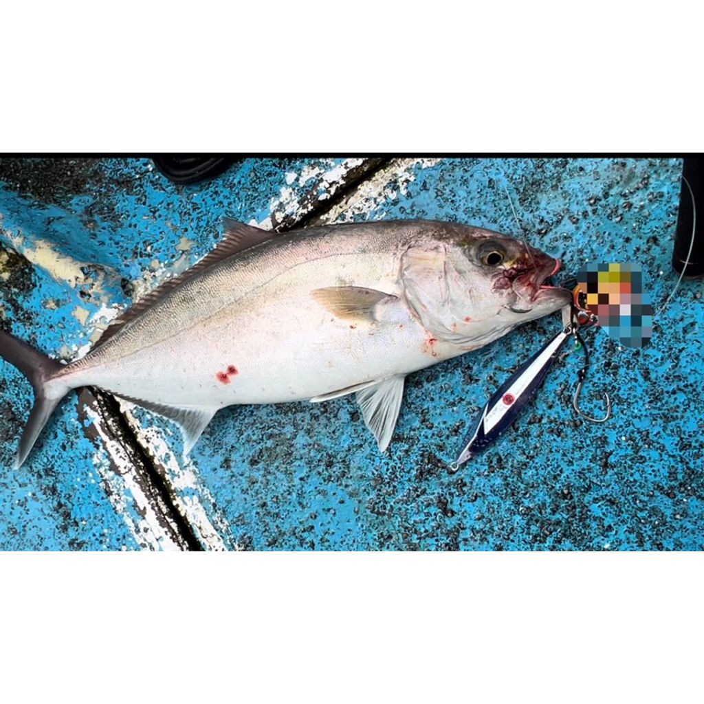 tw-11134207-7r992-lwdtip1qntie17