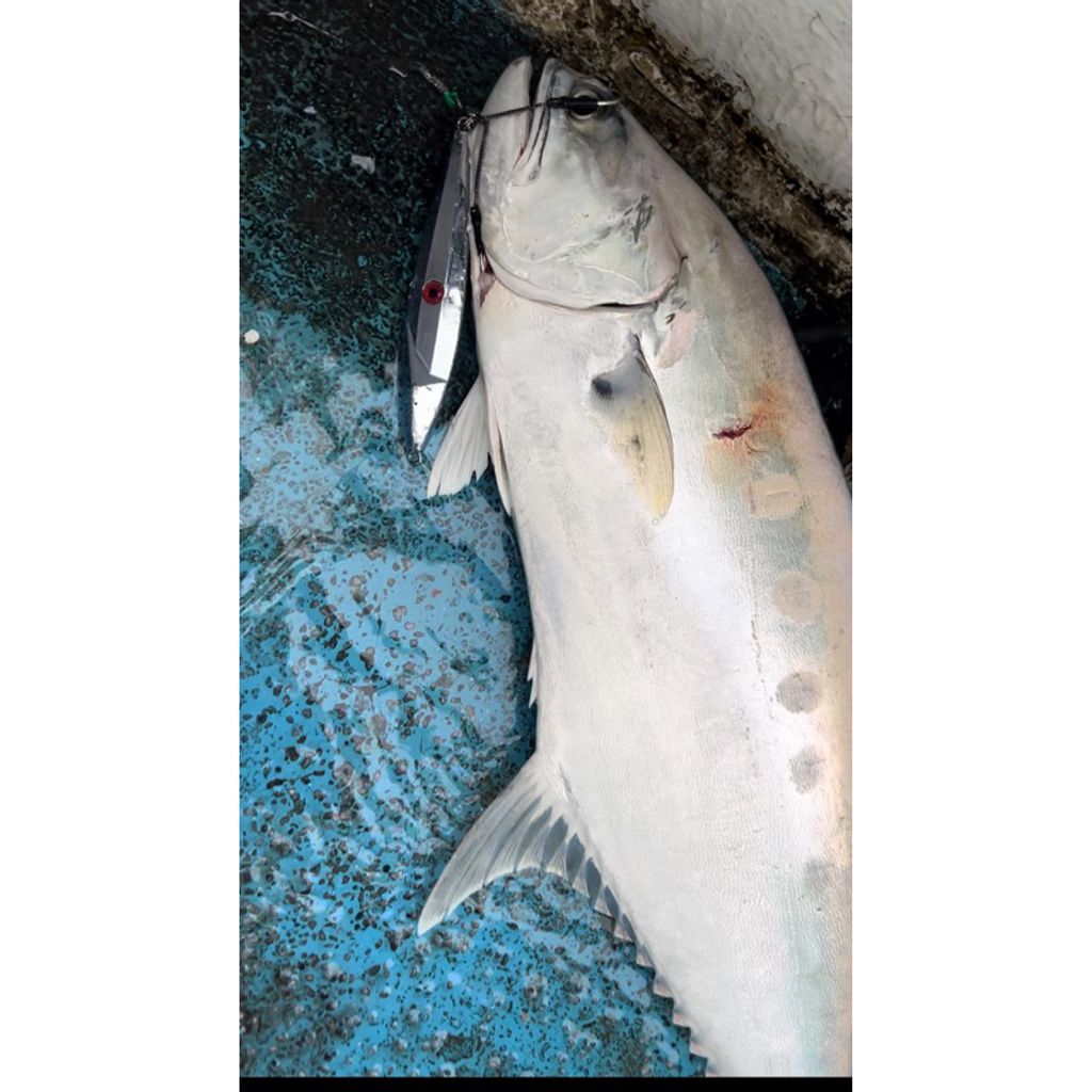 tw-11134207-7rasj-m0r0ka30n4r794