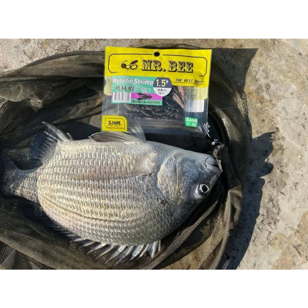 tw-11134207-7rbk6-m9g7xswablk73e