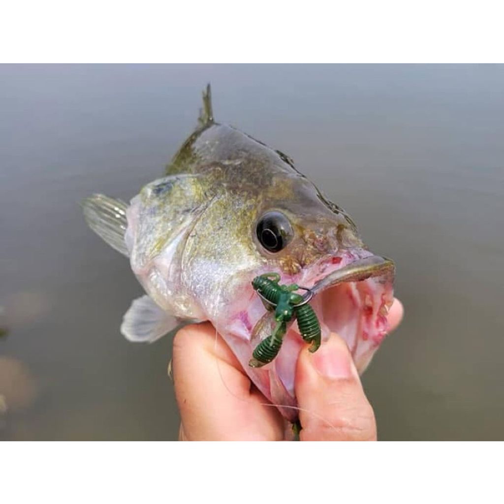 tw-11134207-7rbke-m9g7xswuasbra5