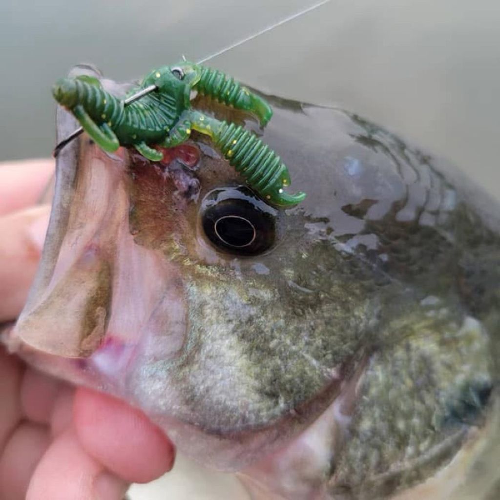 tw-11134207-7rbk0-m9g7xswkb6ex0f