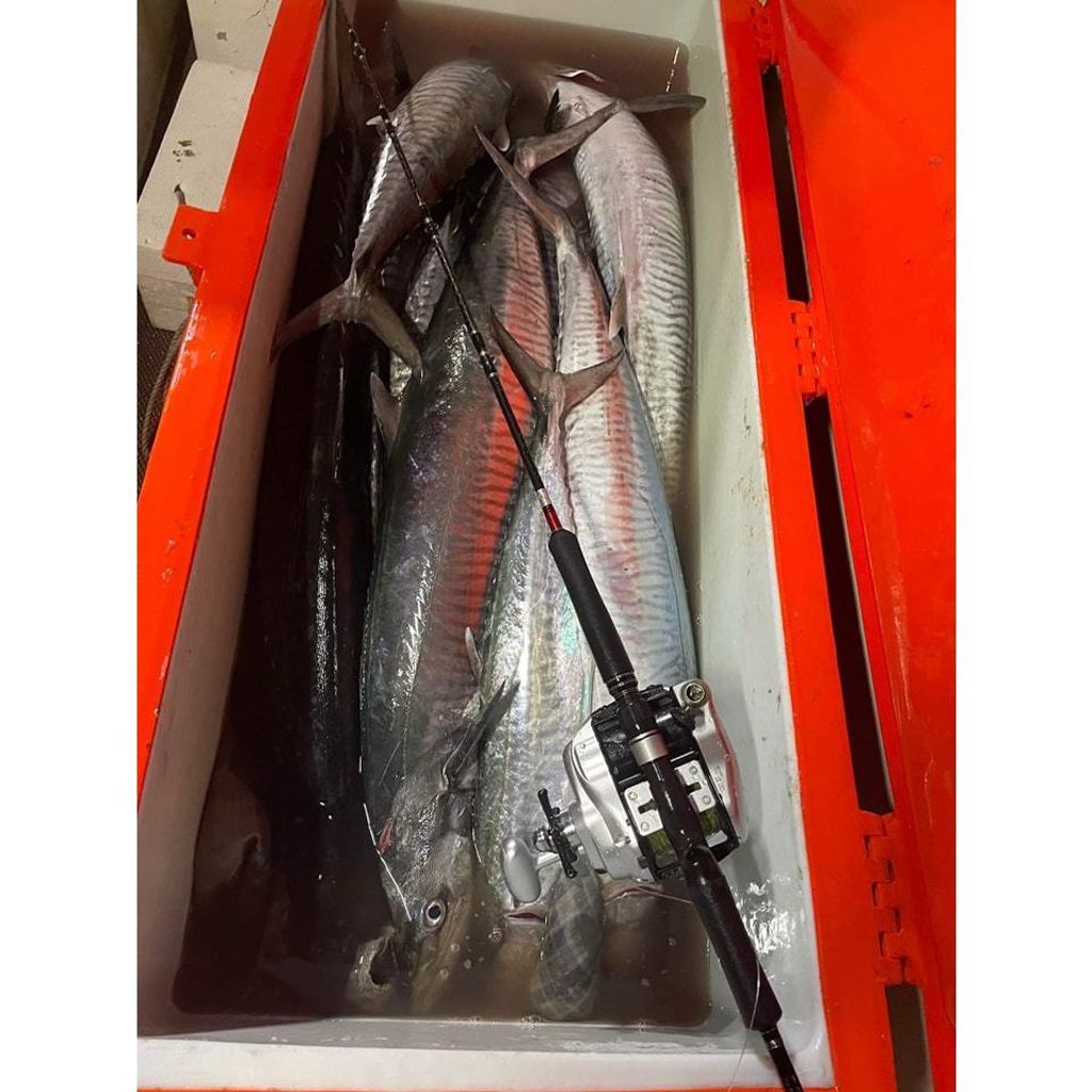 tw-11134207-7r991-lua2p0c0fjnxee