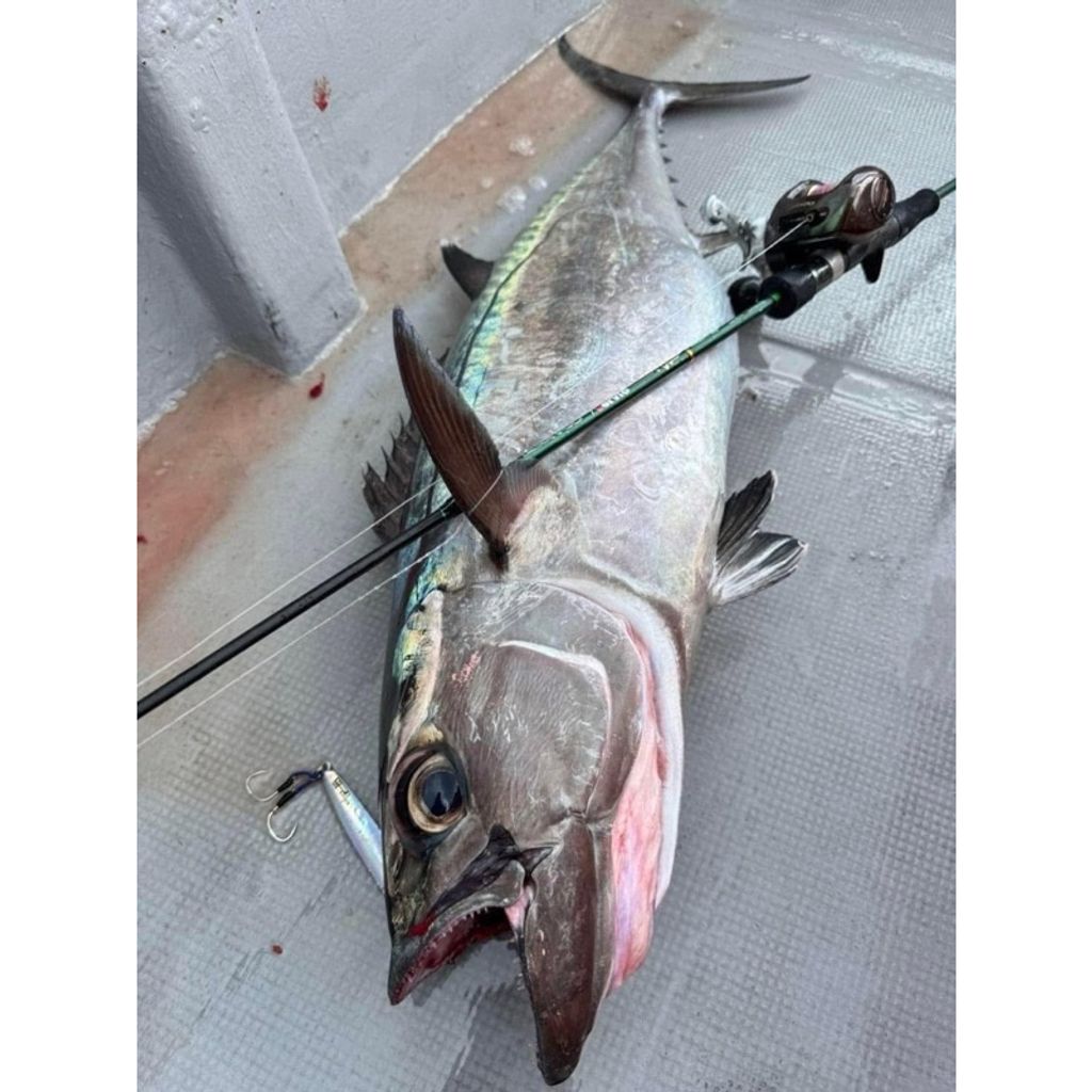 tw-11134207-7rash-m5rcr5zu9c8m41