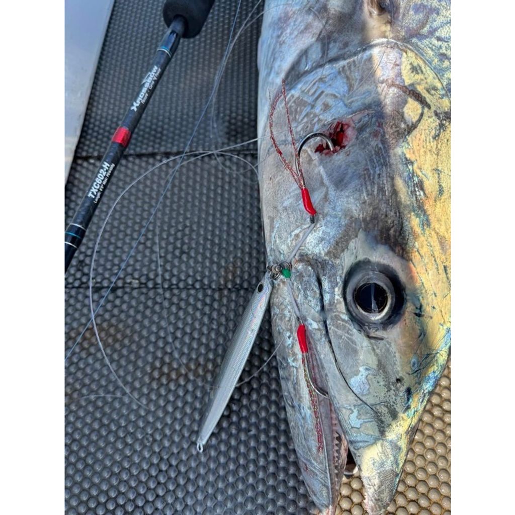 tw-11134207-7rasl-m5rcrqmm2efqd2